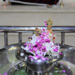 Swaminarayan Vadtal Gadi, Scranton-6th-Patotsav-2020-77-2.jpg